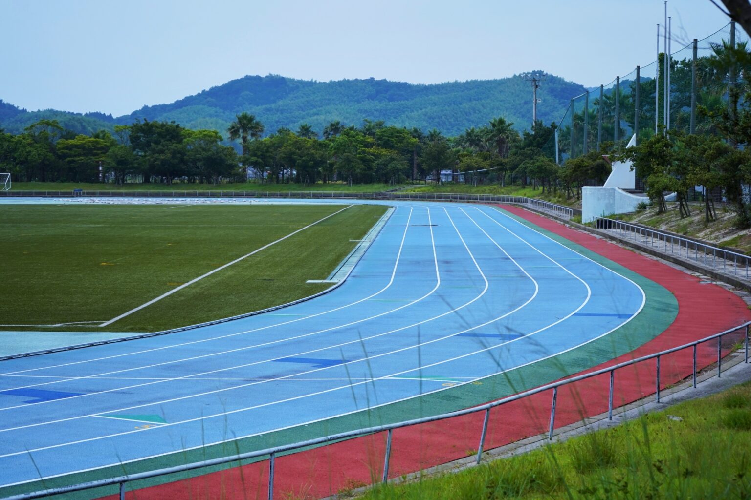 「スポーツの日」の歴史と意義・国民がスポーツを楽しむ日としての重要性 tomomoの彩りブログ